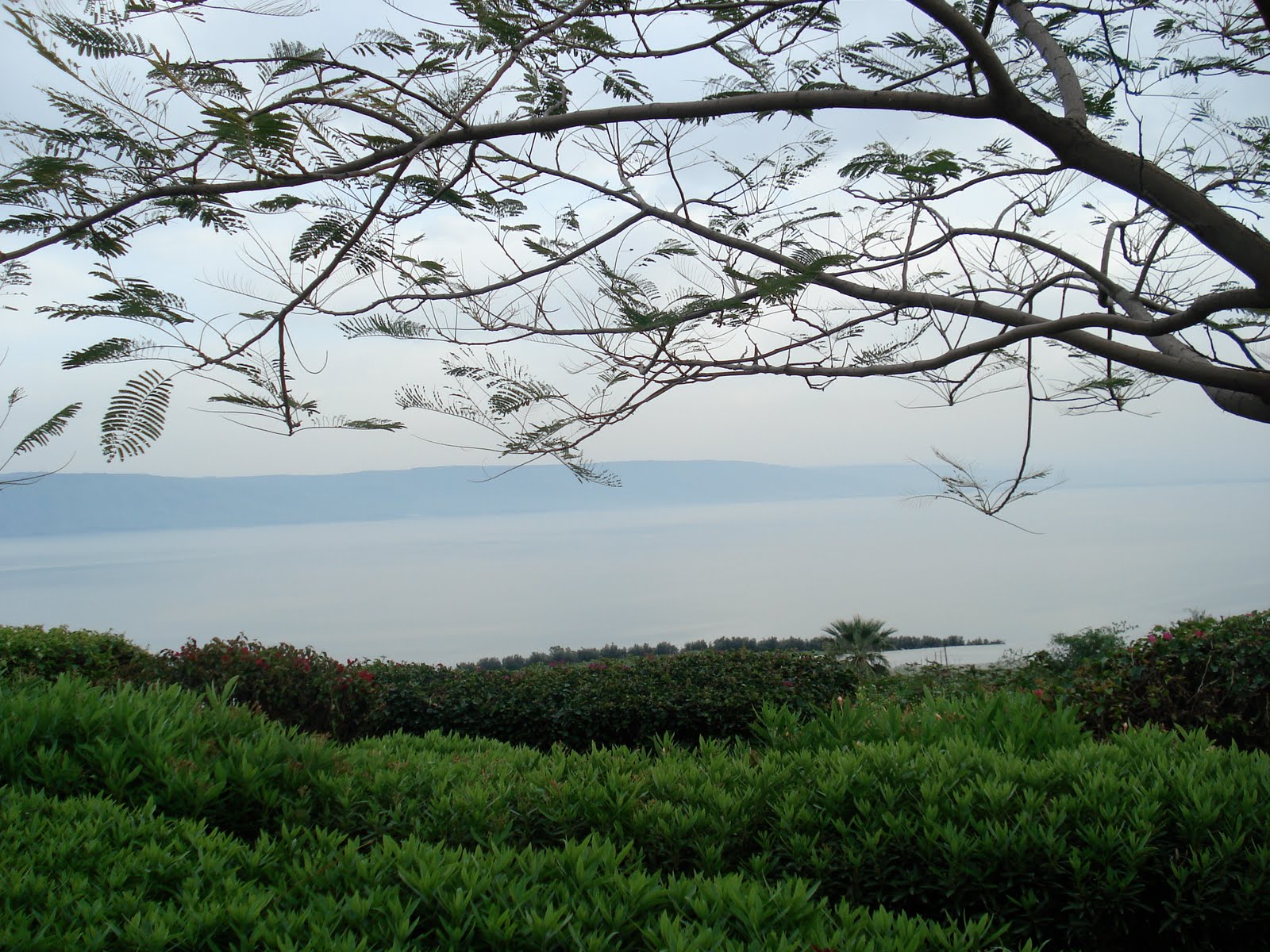 3º DOMINGO DA PÁSCOA